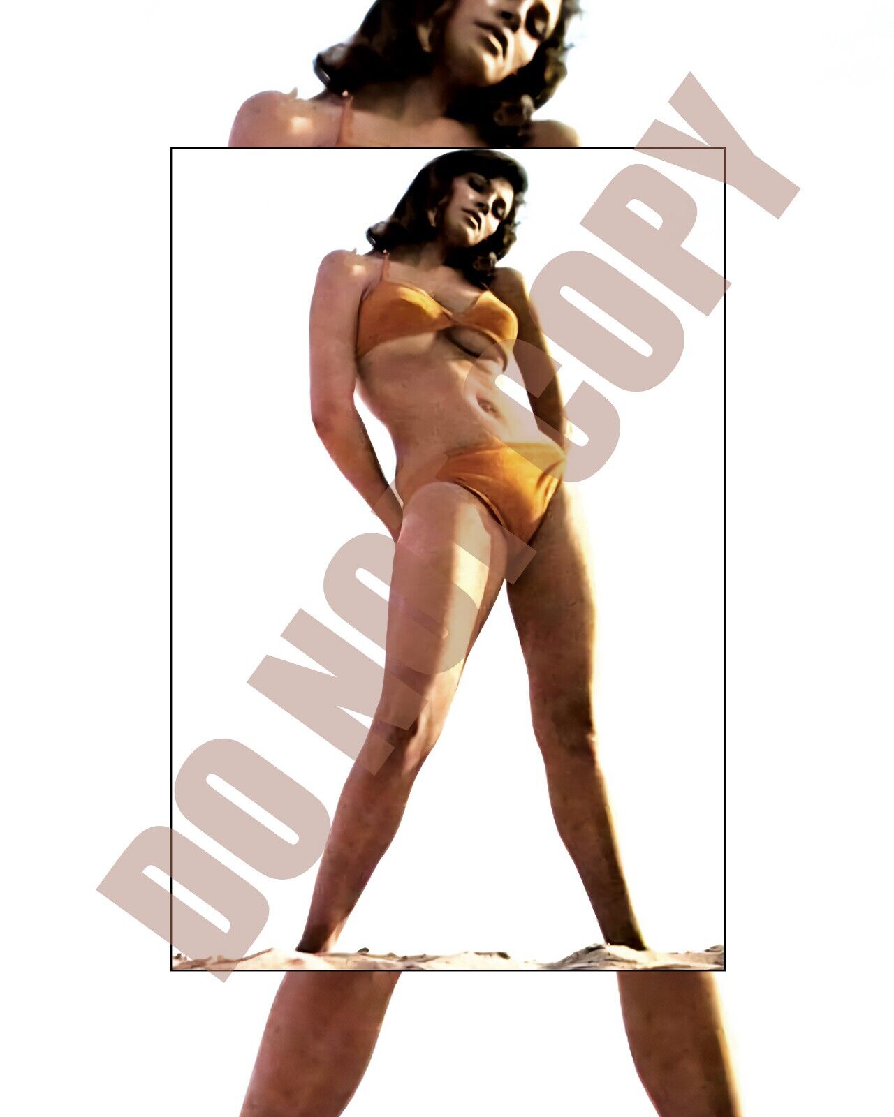Raquel Welch Looking Sexy In Bikini Pin-Up Cheesecake 8x10 Photo