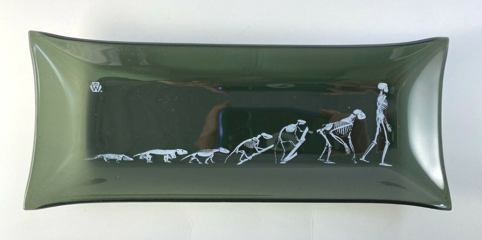 Vintage Human Evolution Bent Glass Plate 7 Skeletons Lizard to Human