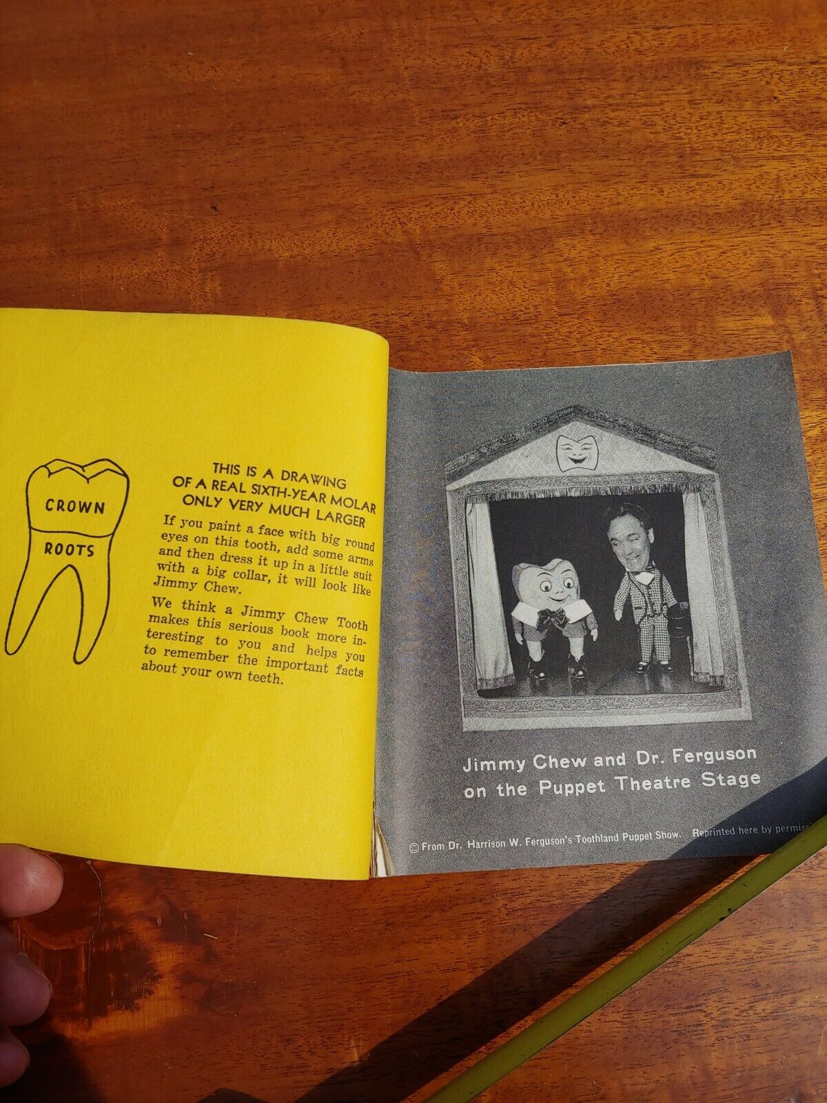  Jimmy Chew  A Dental Health Vintage Book Paperback Harrison W. Ferguson, D.D.S.