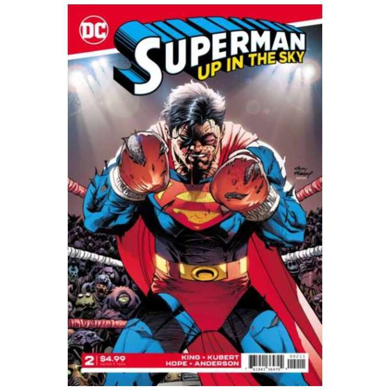 Superman: Up in the Sky #2 in Near Mint + condition. DC comics [g