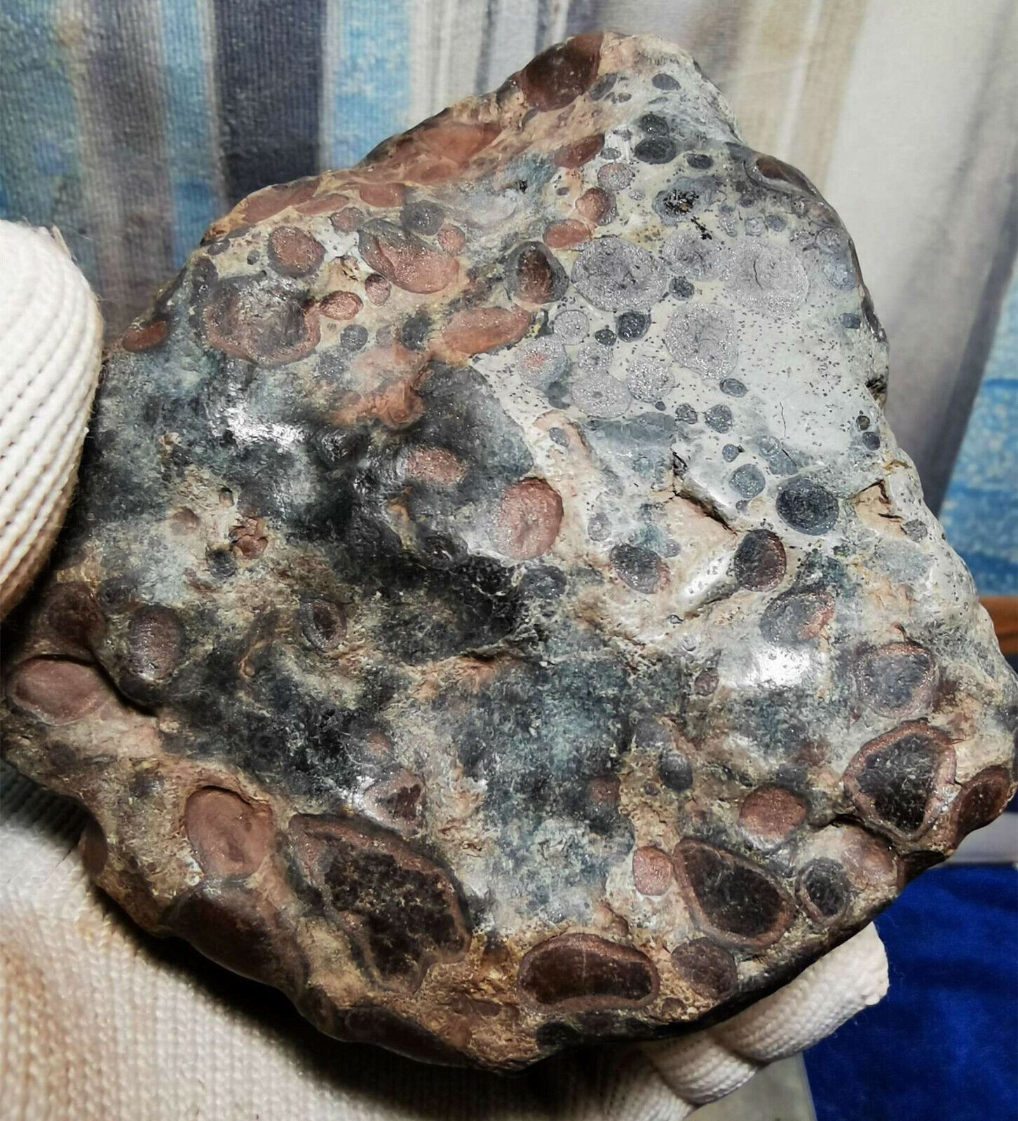 1603g natural precious metal iron meteorite space rock meteor (No magnetic)