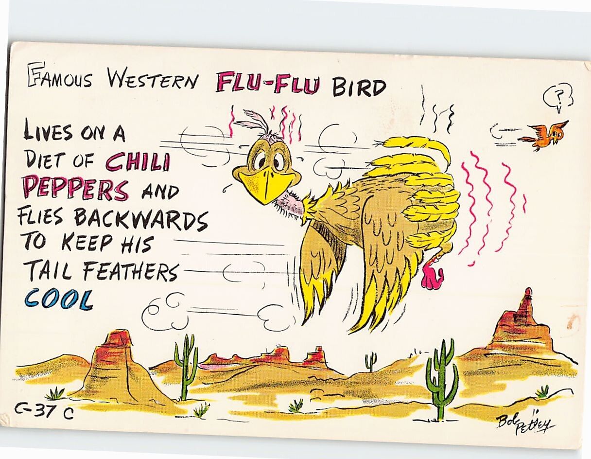 Postcard Famous Western Flu-Flu Bird