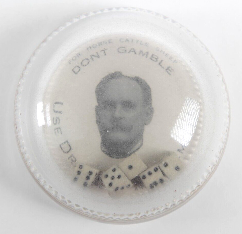 1903 Glass Dice Paperweight Dr. Daniels Remedies Don\'t Gamble Animal Health Vet