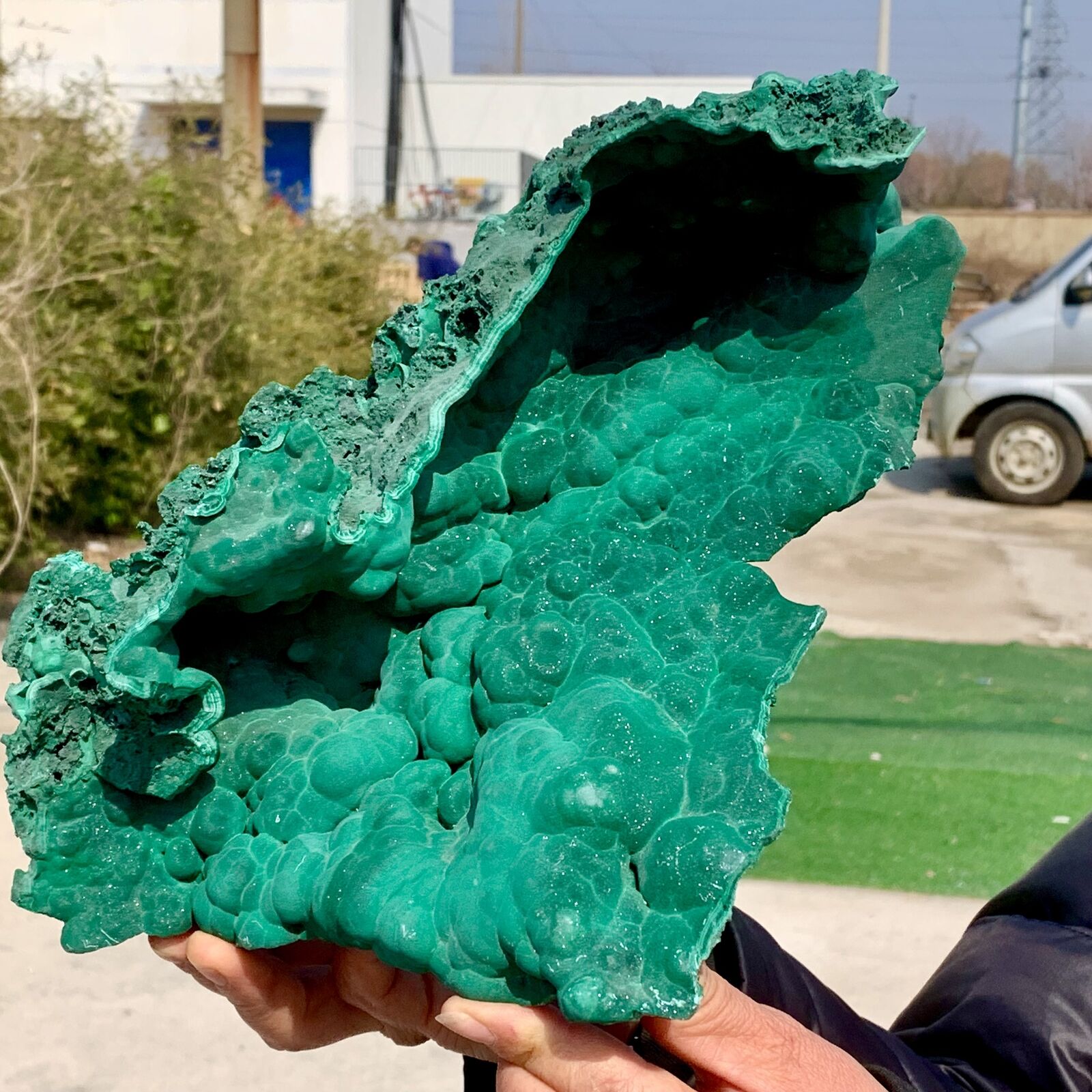 4.92LB Natural glossy Malachite cat eye cluster rough mineral sample