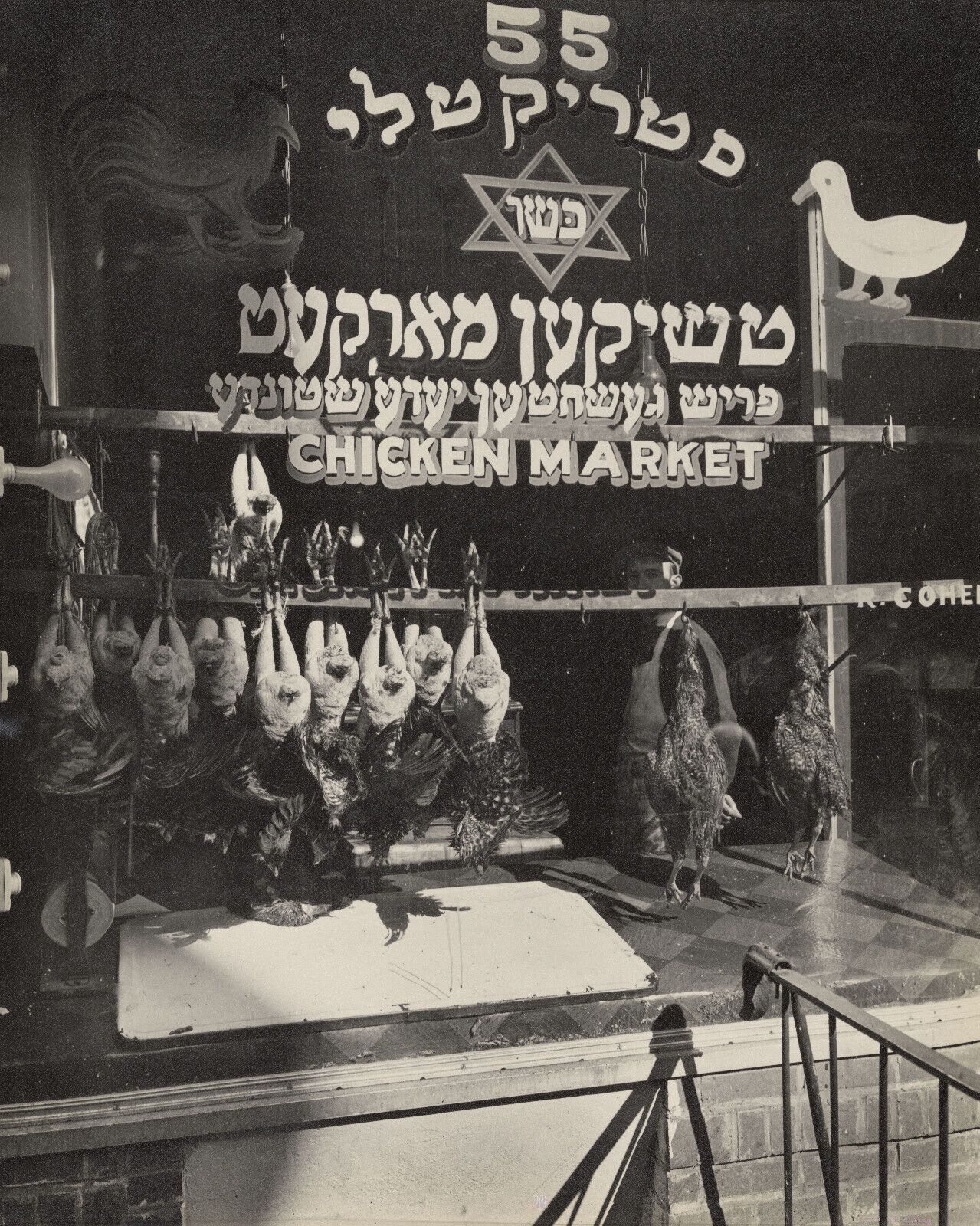 New York City 1937 Photo Jewish Chicken Market Shop, 55 Hester St 58496400