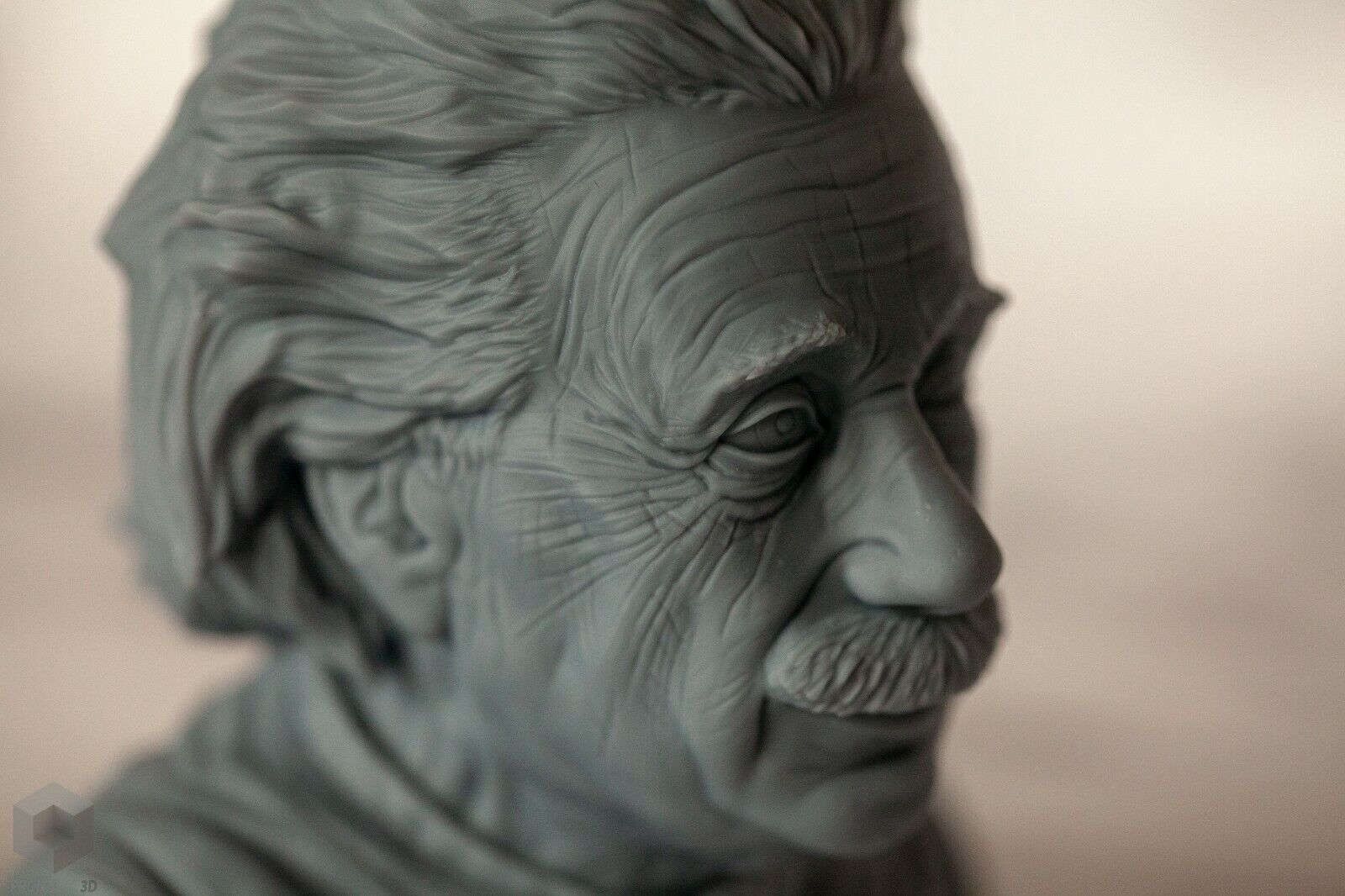 Pronamic 3D Printed Albert Einstein Bust, Figurine, Home Decorating, Sculpture