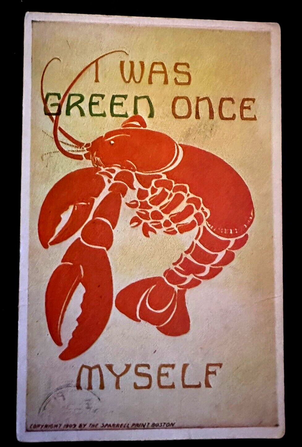 Lobster~ I was Green Once Myself~Humor Comic greeting postcard 1910~h668