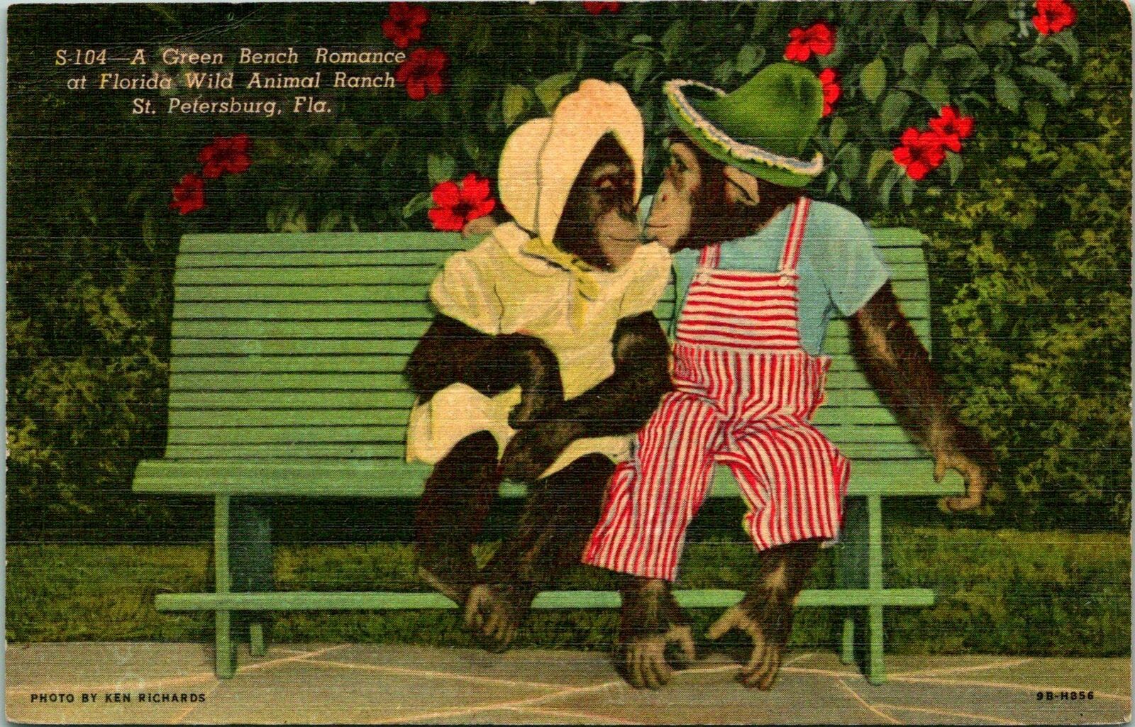 St Petersburg FL Green Bench Wild Animal Ranch Monkeys Postcard Unused (16180)