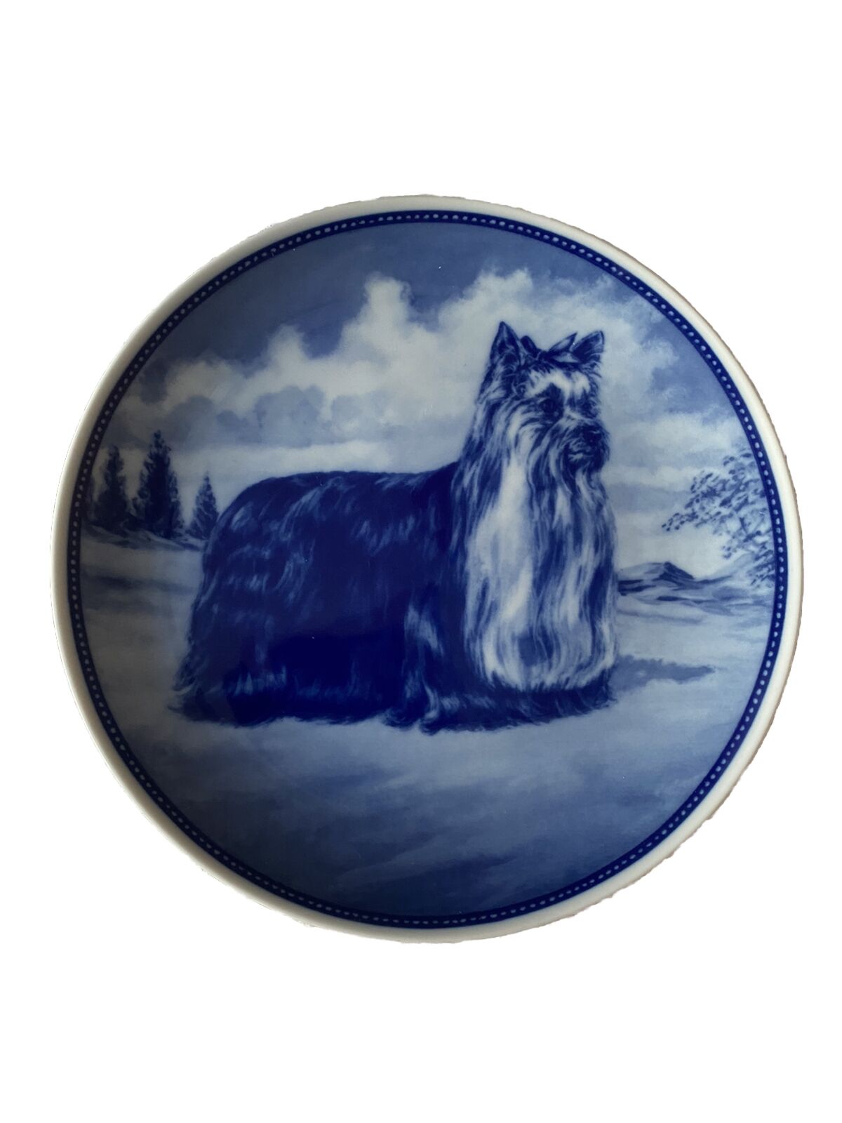 Swedish collector’s Yorkshire Terrier porcelain plate Ravn Porslin Engelholm 8”