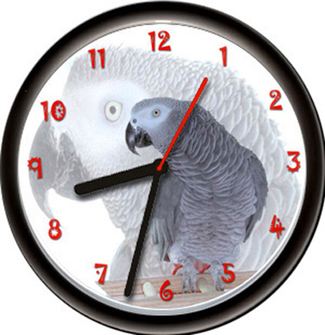 African Grey Gray Pet Parrot Bird Aviary Gift Sign Wall Clock