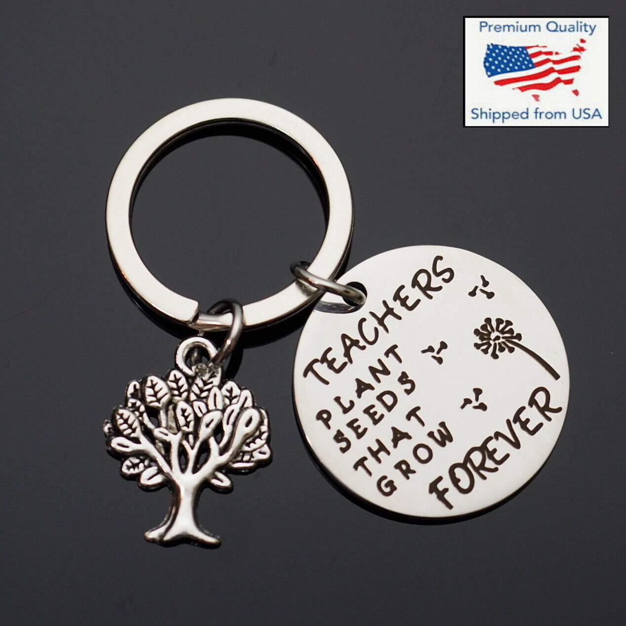 Best Teacher Plants a Seed Tree Love Thanks Student Day Keychain Key Ring Gift C