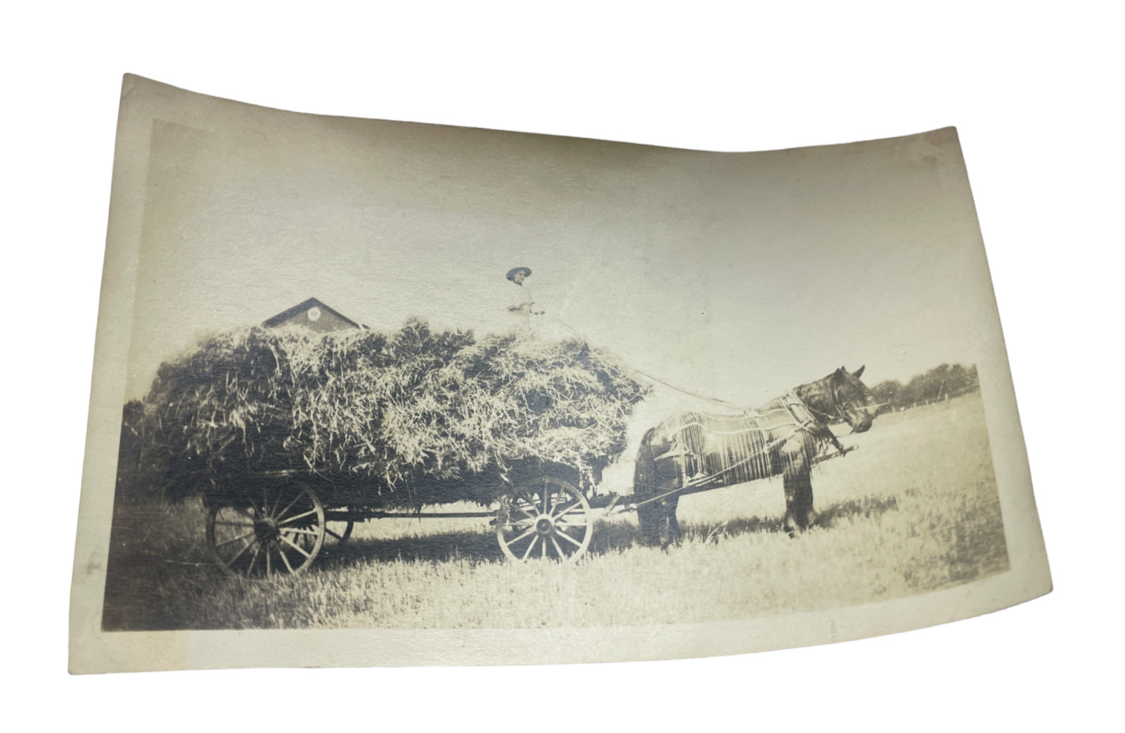 Rural Farm Field Horse Pulled Hay Wagon Working Photo c1920