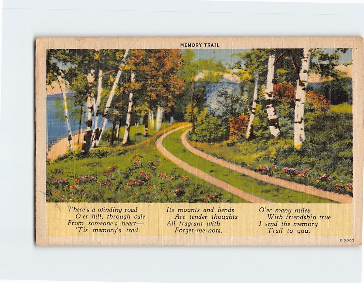 Postcard Memory Trail Nature Scene