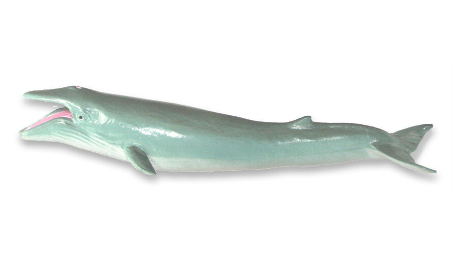 AAA 12215 Blue Whale Sealife Toy Model Figurine Replica - NIP