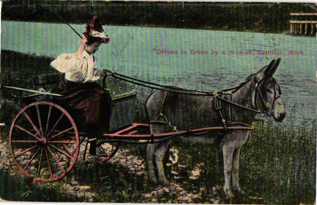 Postcard Driven to Drink by a Woman Cadillac Michigan