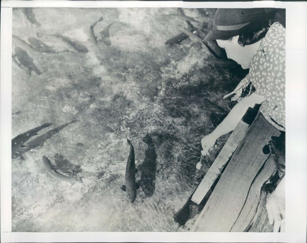 1941 Scene at Fish Hatchery St Faustin Quebec Canada Press Photo