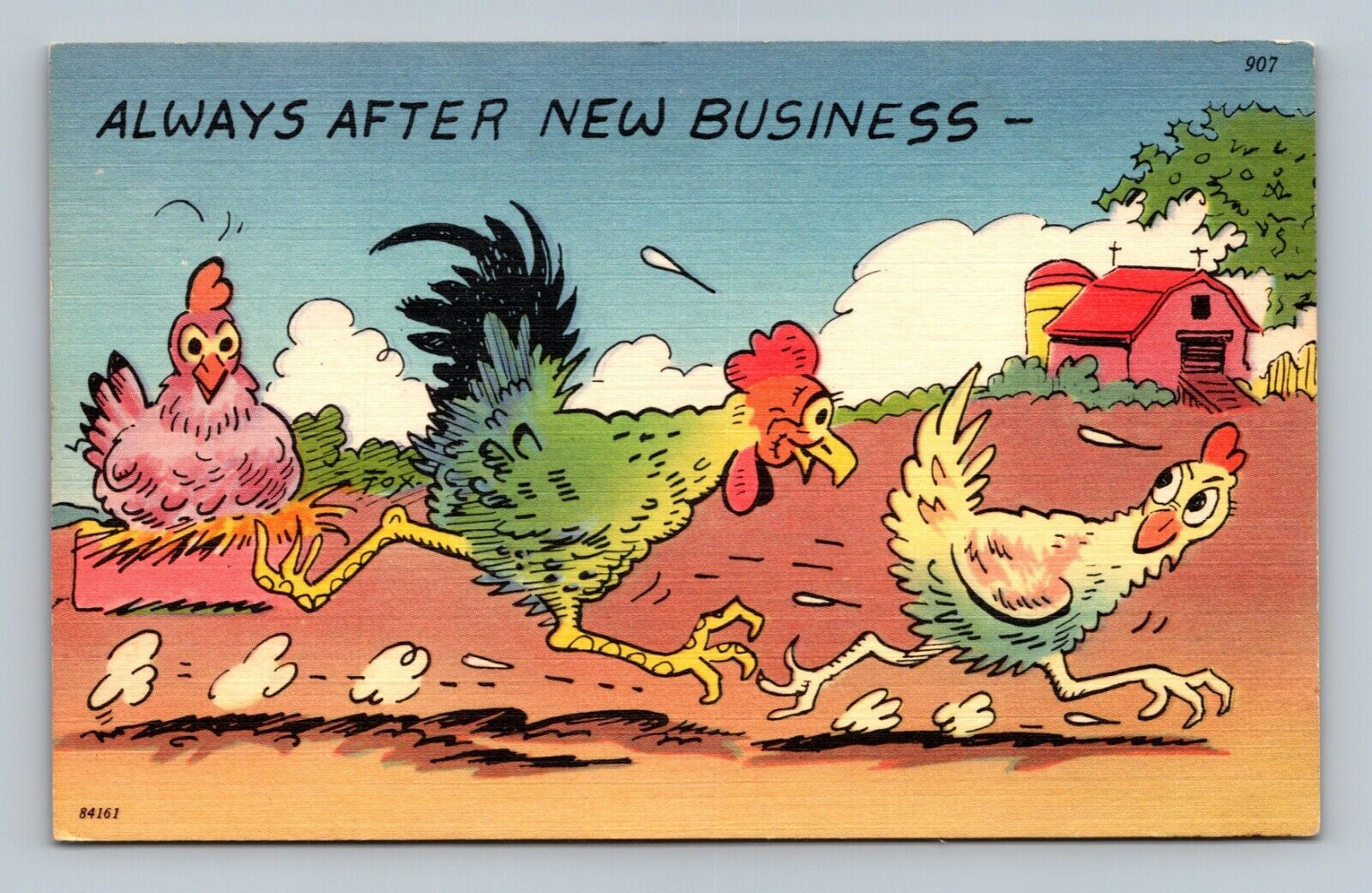 Vintage Postcard  Always After New Business Rooster Hen Chickens
