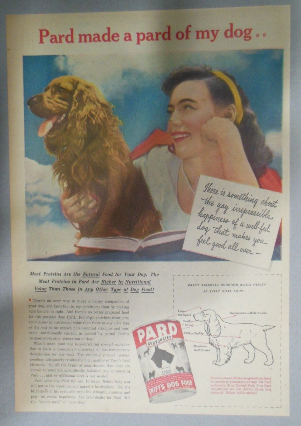 Pard Dog Food Ad: Pard Made a Pard of My Dog from 1947 Size: 11 x 15 inches