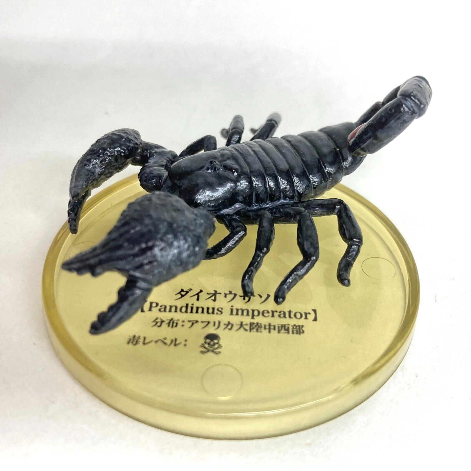 Scorpion Figure Emperor Scorpion Pandinus imperator Takara Tomy Arts Japan