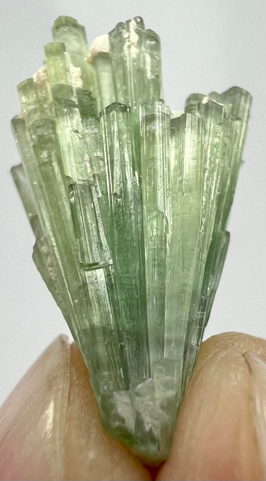 F/Well Terminated Amazing Green Tourmaline Crystals Bunch @AFG. 10 Carat