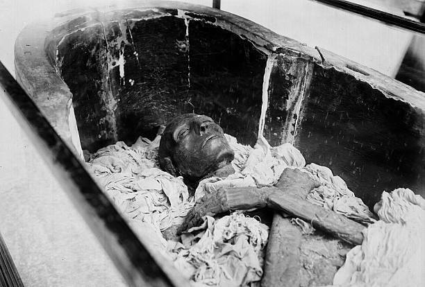 OLD PHOTO Mummy Of Seti Ist Egypt Museum Of Cairo