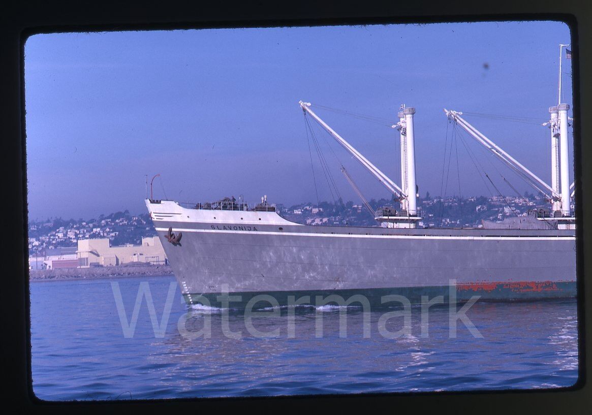 1962  Kodak Kodachrome Photo slide San Diego CA  Ship Slavonija #1