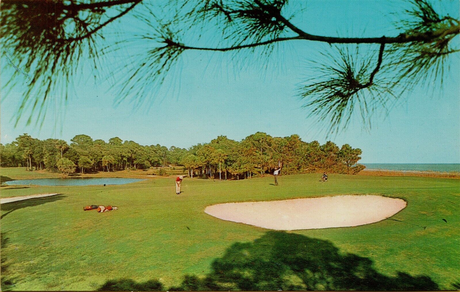 Golfer Putt 15th Green Sea Pine Plantation Hilton Head Island SC Postcard A38