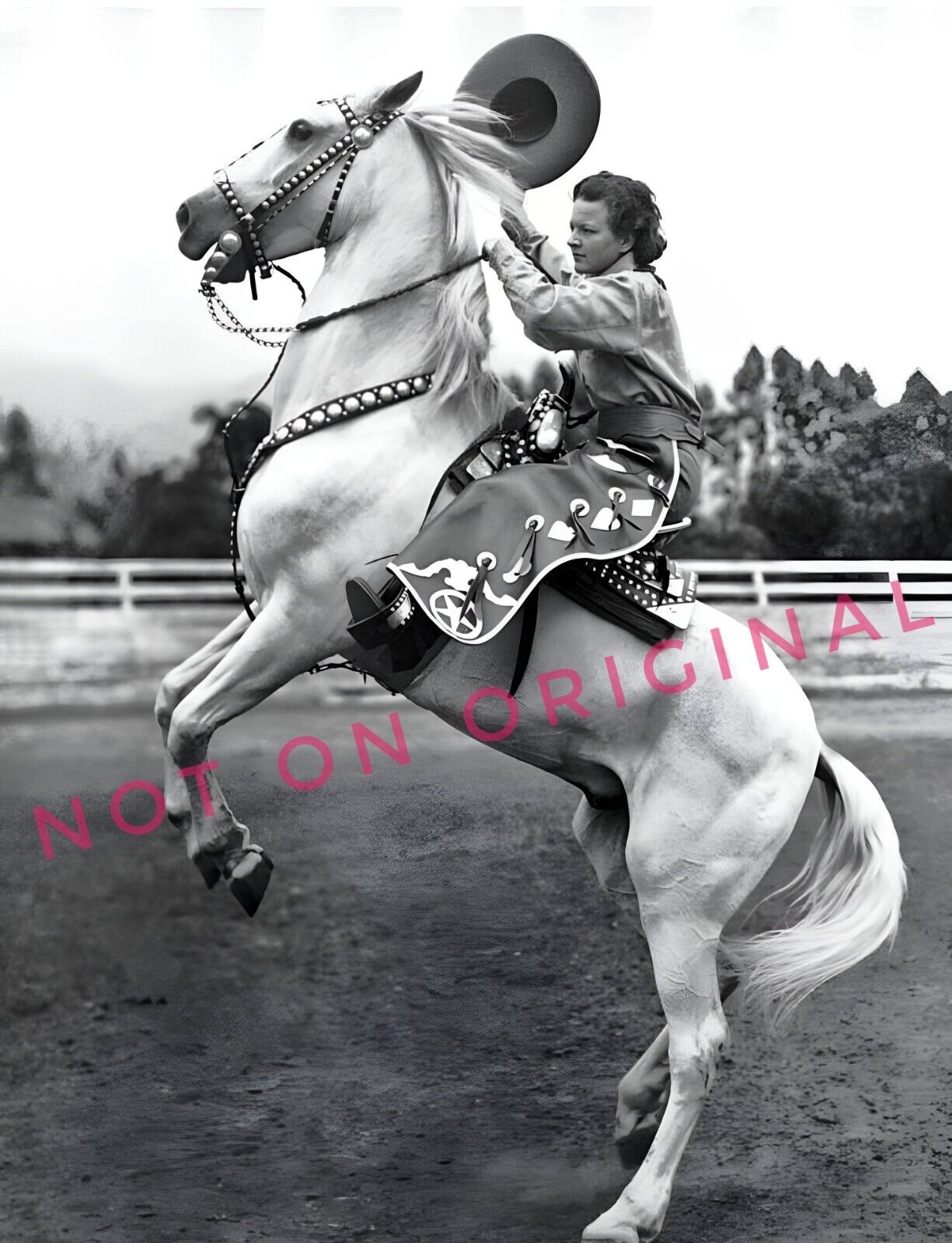 8x10 Vintage Photo High Def Reprint of Woman COWGIRL Chaps Rearing up Horse 🐎 