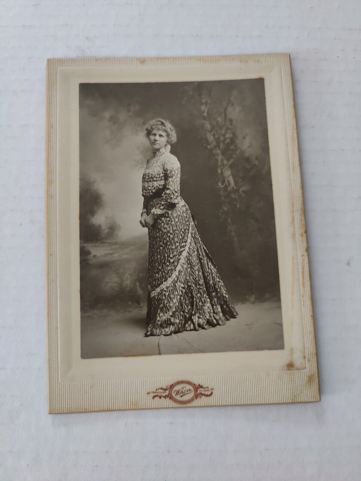 Vintage Cabinet Card Lady in Dress by When in St. Louis, Missouri
