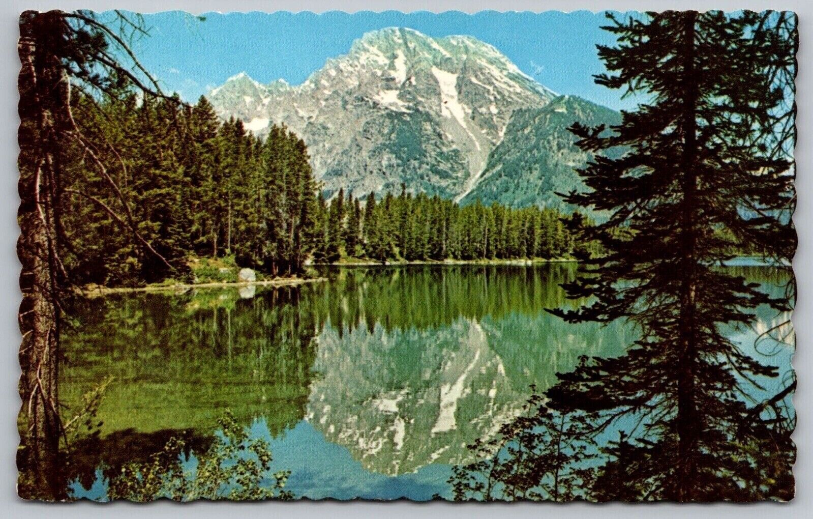 Leigh Lake Mount Moran Grand Teton National Park Wyoming Reflections Postcard