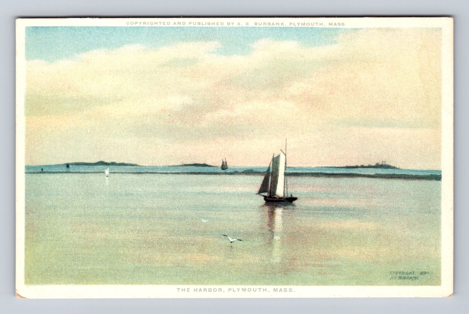 Plymouth MA-Massachusetts, The Harbor, Antique, Vintage Souvenir Postcard