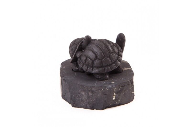 shungite figurine turtles brings health EMF protection Karelia magic stone 