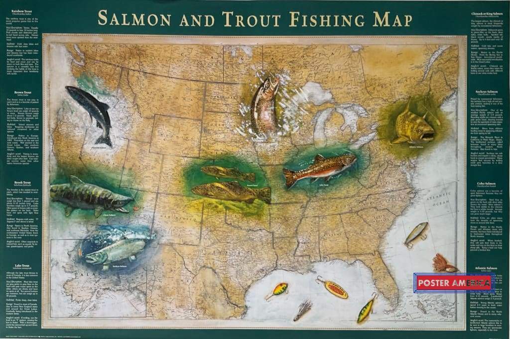 Salmon and Trout Fishing Map 2000 Vintage Poster 24 X 36