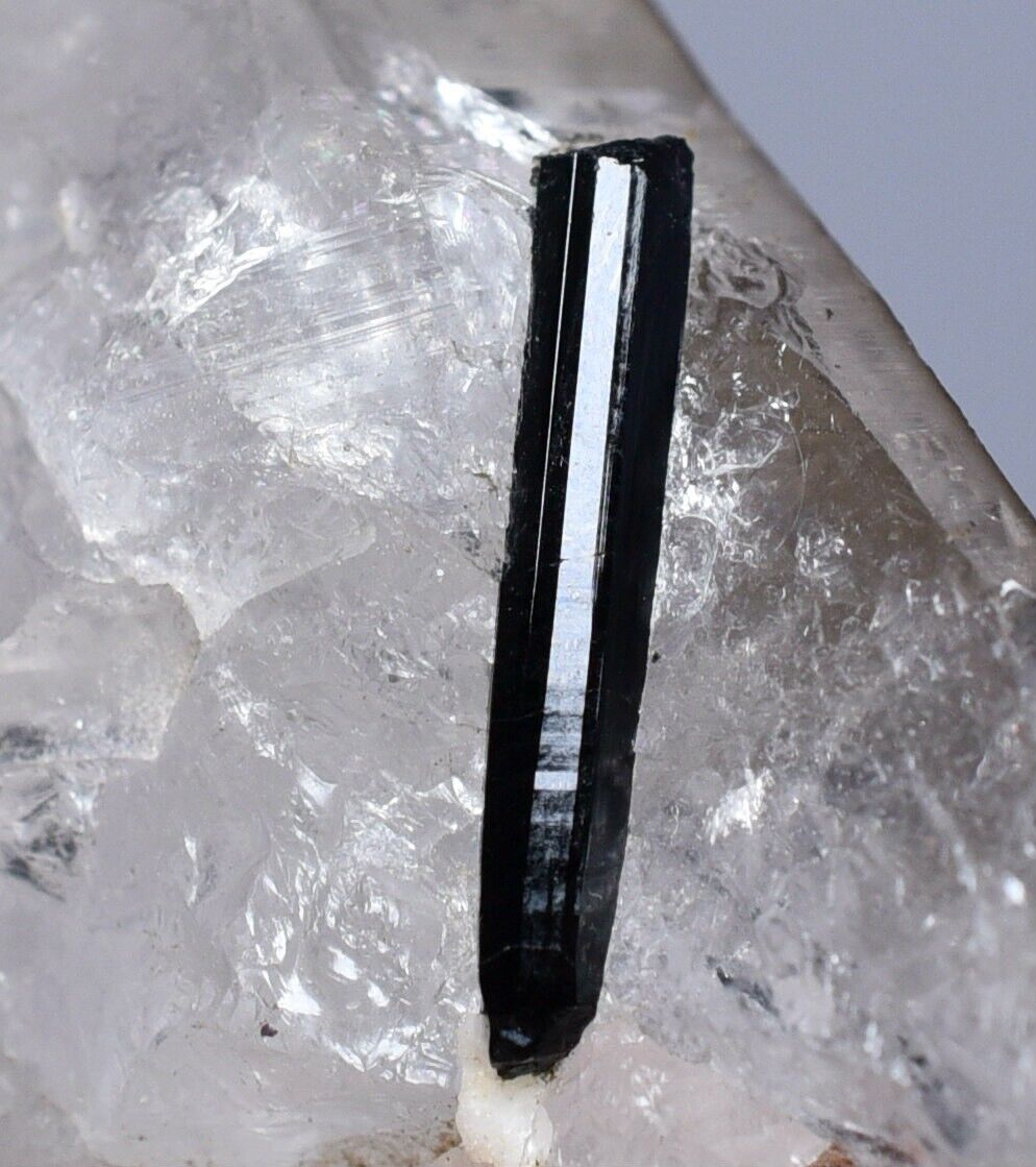 57 GM Glorious Natural Black Tourmaline Crystals On Smoky Quartz Specimen @Pak