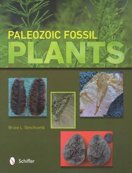 Paleozoic Fossil Plants - Reference for Collectors, Teachers