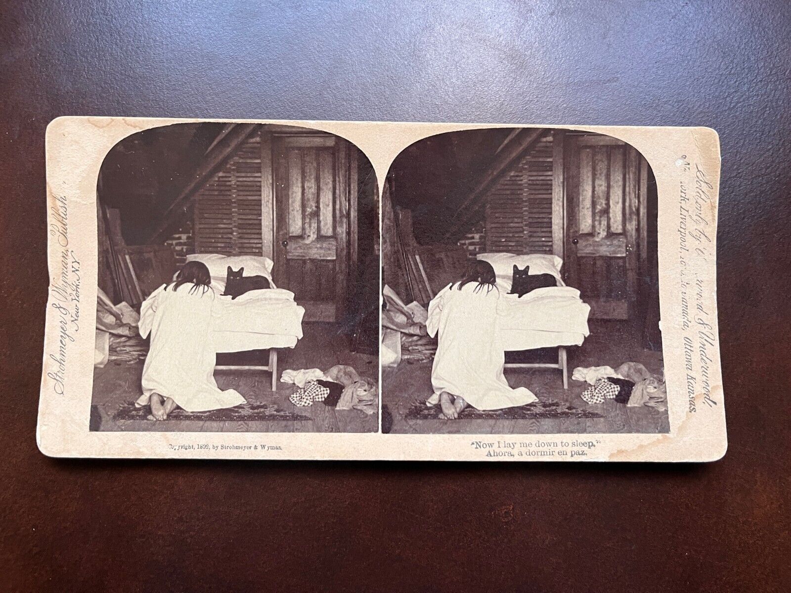 Stereoview - Real Photo - Poverty Scene Barefoot Girl Praying w/ Black Cat 1892