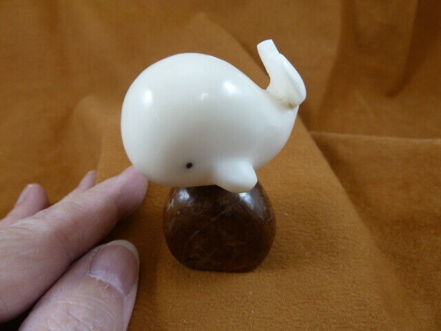 TNE-WHA-229a) little white WHALE TAGUA NUT palm figurine Moby whales