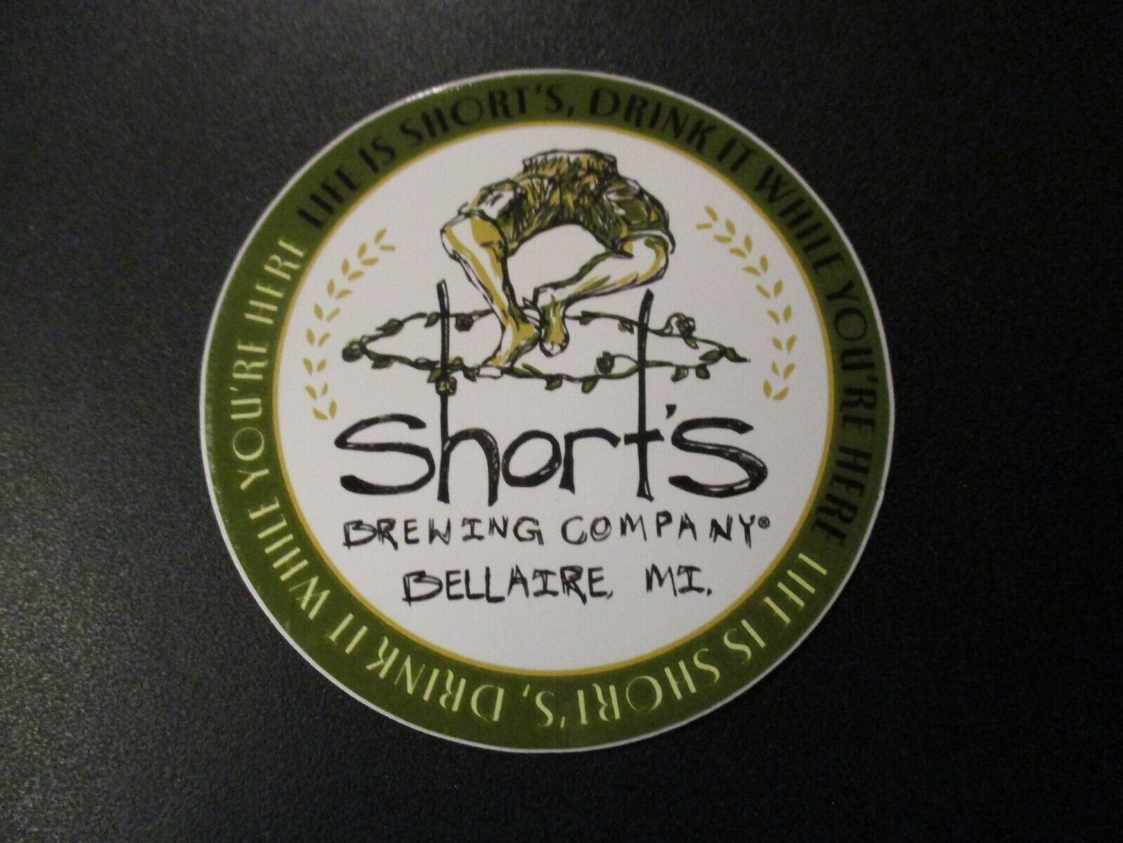 SHORTS BREWING CO Life Is Short Logo Michigan STICKER decal craft beer brewery