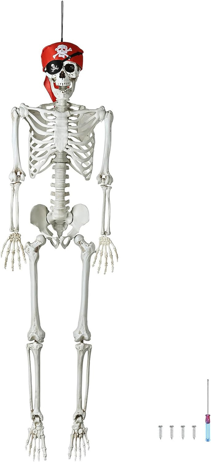 5.4 Ft/165Cm Poseable Halloween Full Body Life Size Skeleton Props with Movable 
