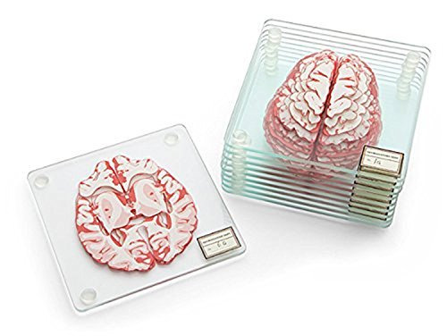Generix Geek ,Anatomic Brain Specimen Coasters for Drinks, Set of 10 pieces