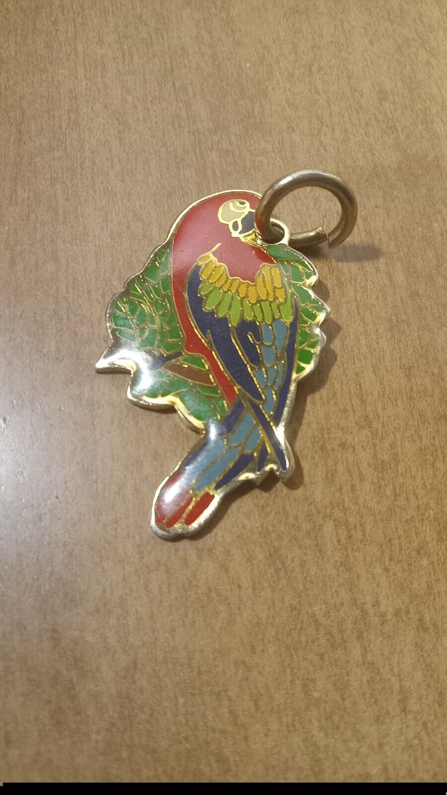 Parrot Keychain Metal Acrylic Colorful 2 1/4\