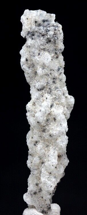 AMAZING FULGURITE Lightning Glass Sand Mineral Specimen FLORIDA