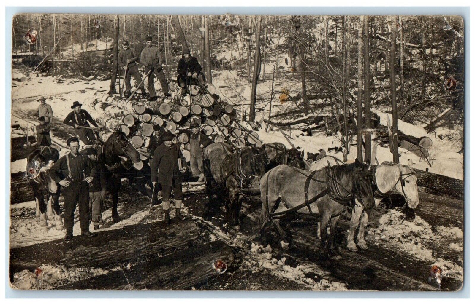 c1910's Hauling Logging Horse Sleigh Winter Scene RPPC Photo Antique Postcard