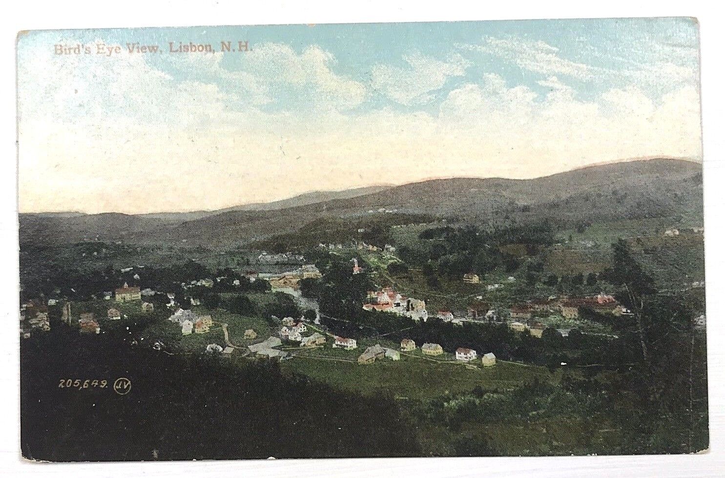 C. 1900s Lisbon New Hampshire NH Birds Eye View Houses Hand Tinted Postcard