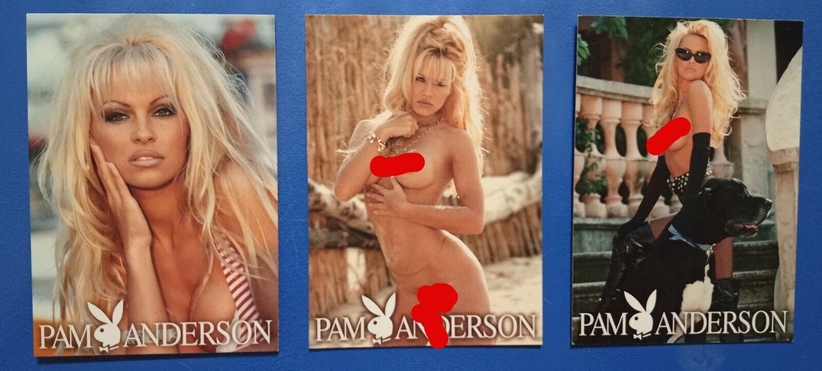 Playboy Card  ~ Pamela Anderson 3)  Pam Watch Photo Shoot 