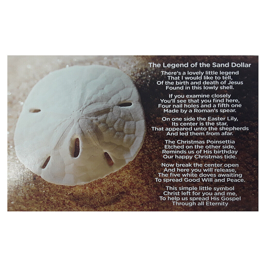 18 Legend of the Sand Dollars Post Cards (Set of 18)