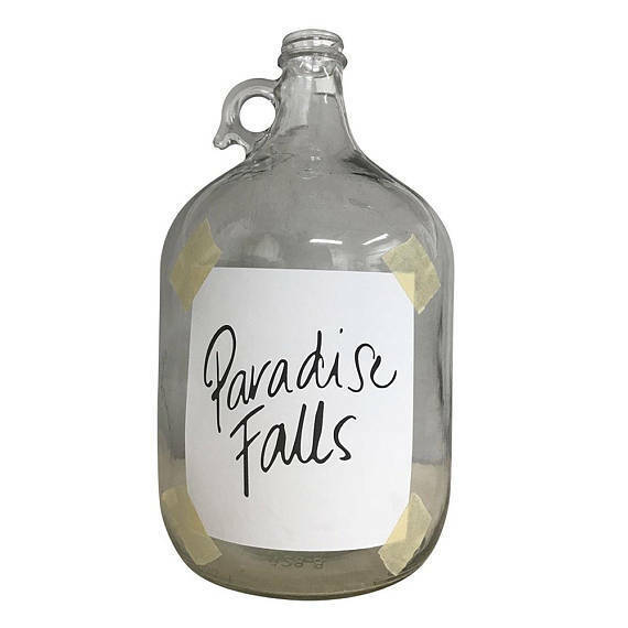 Paradise Falls in a Jar: Relive the Adventure with this UP-inspired Keepsake