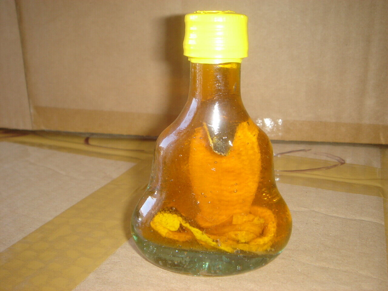 real cobra snake in a small X O glass bottle 4