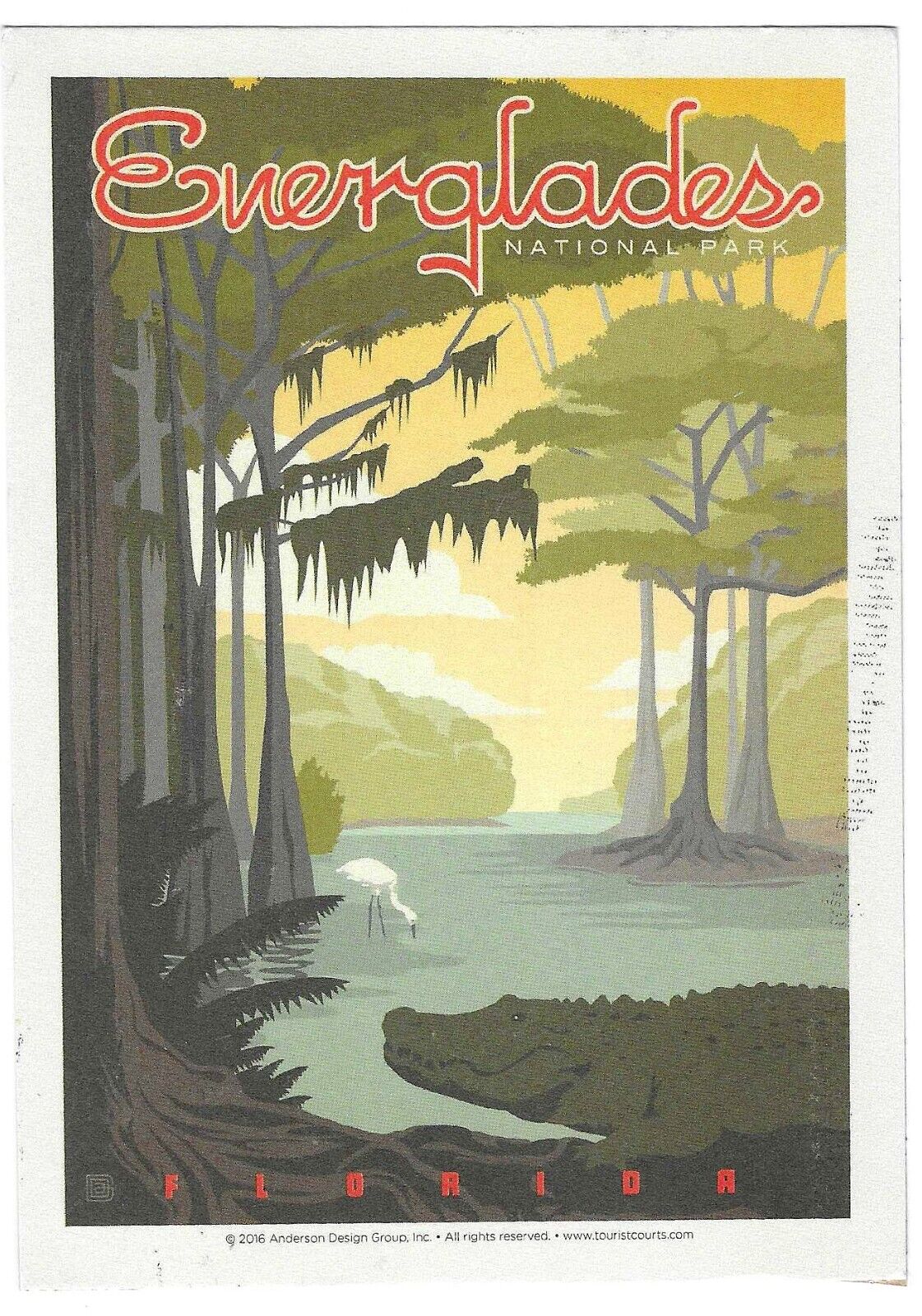 Florida Chrome Postcard Everglades National Park Wetlands