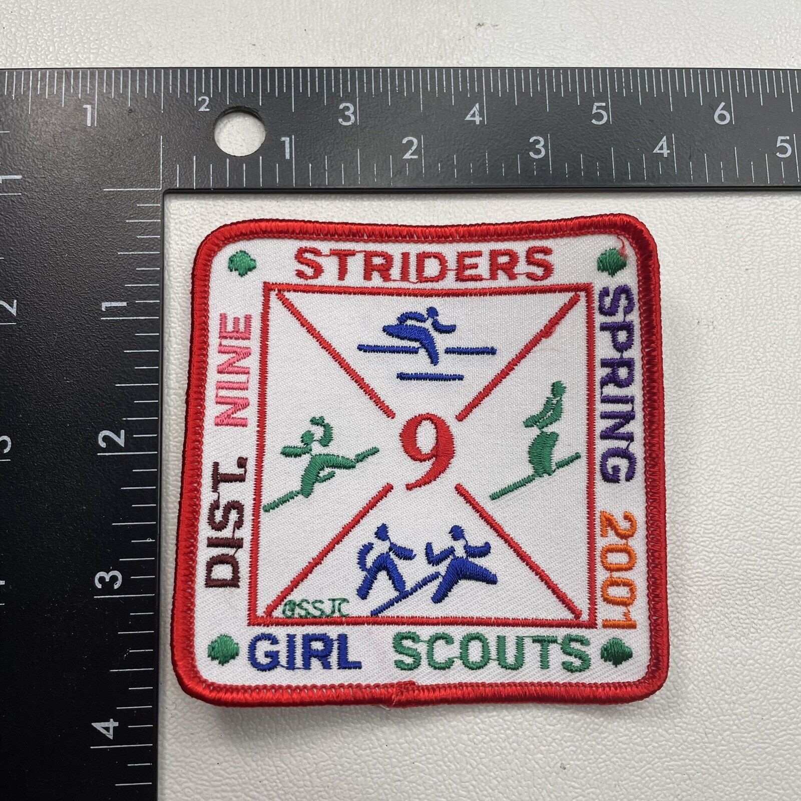 2001 GSSJC District Nine Striders Girl Scouts Patch 19H4